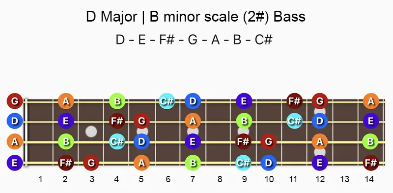 D major and B minor scale notes on a Bass