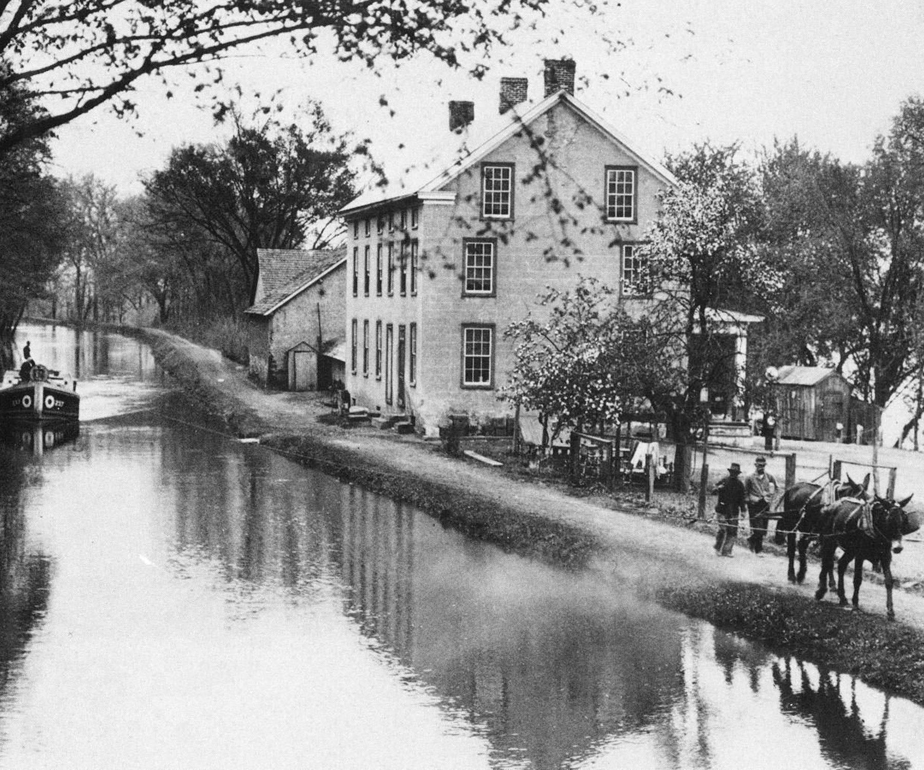 Vintage golden pheasant canal towpath mule barge