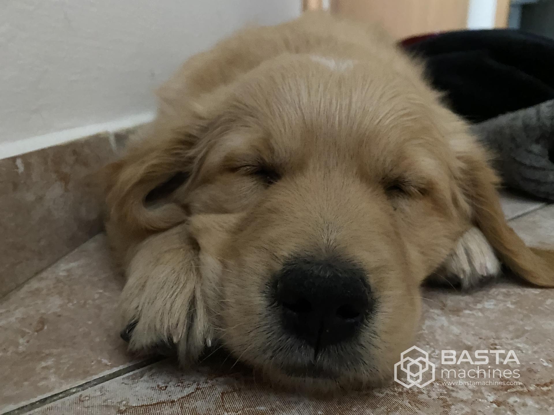 Corellian Perf test 1 (2000)