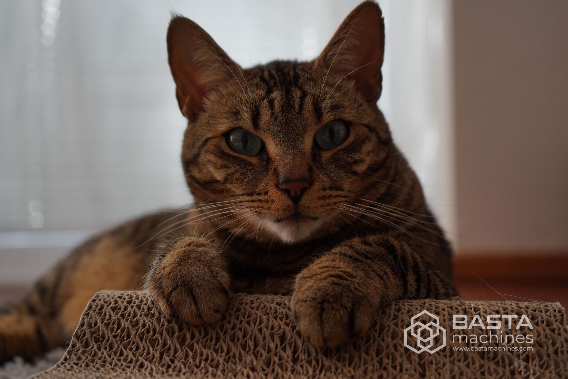 Engel Perf test 3 (2003)