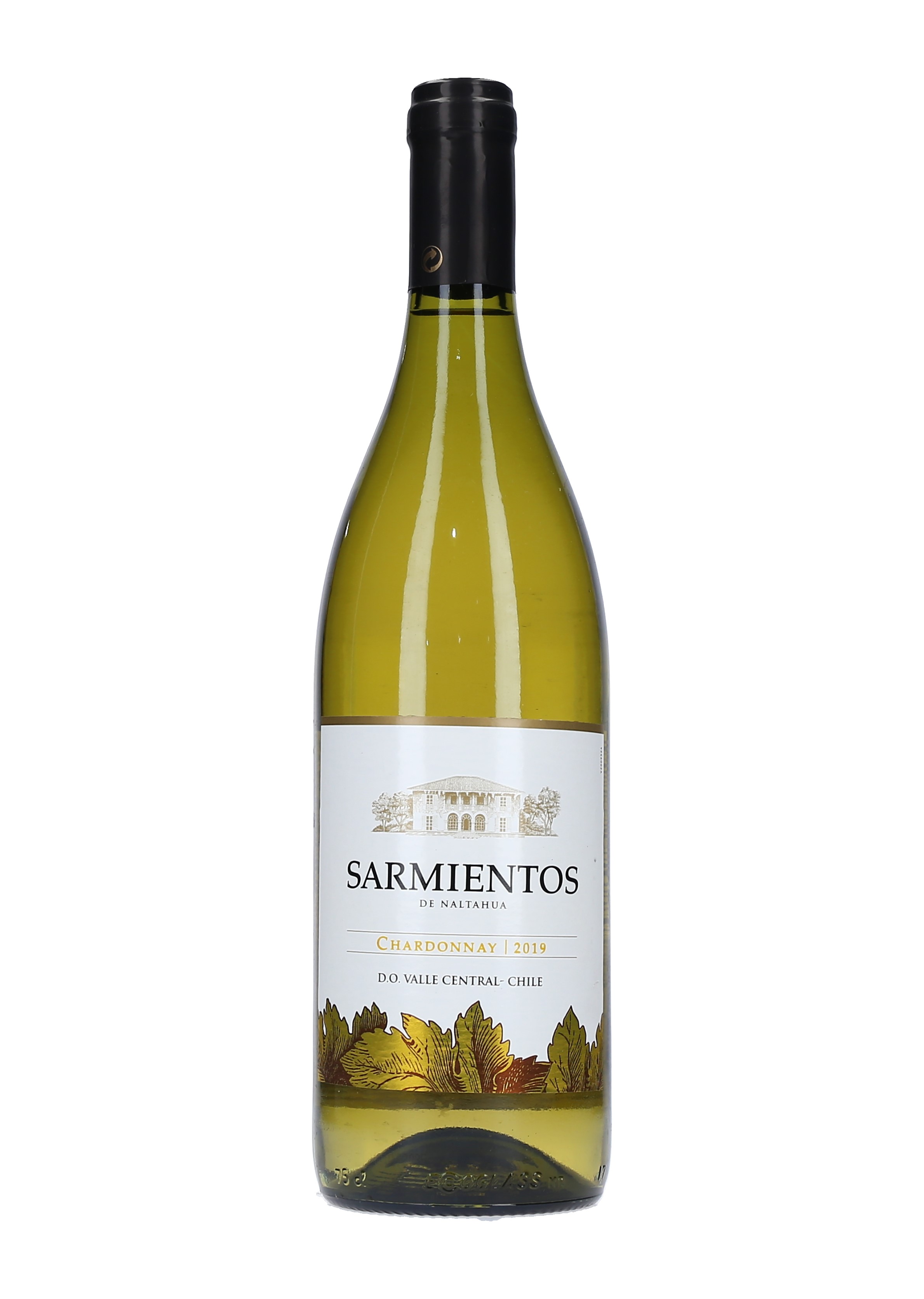 VINO BLANCO CHARDONNAY SARMIENTOS     22 CAJA 12/75 CL.