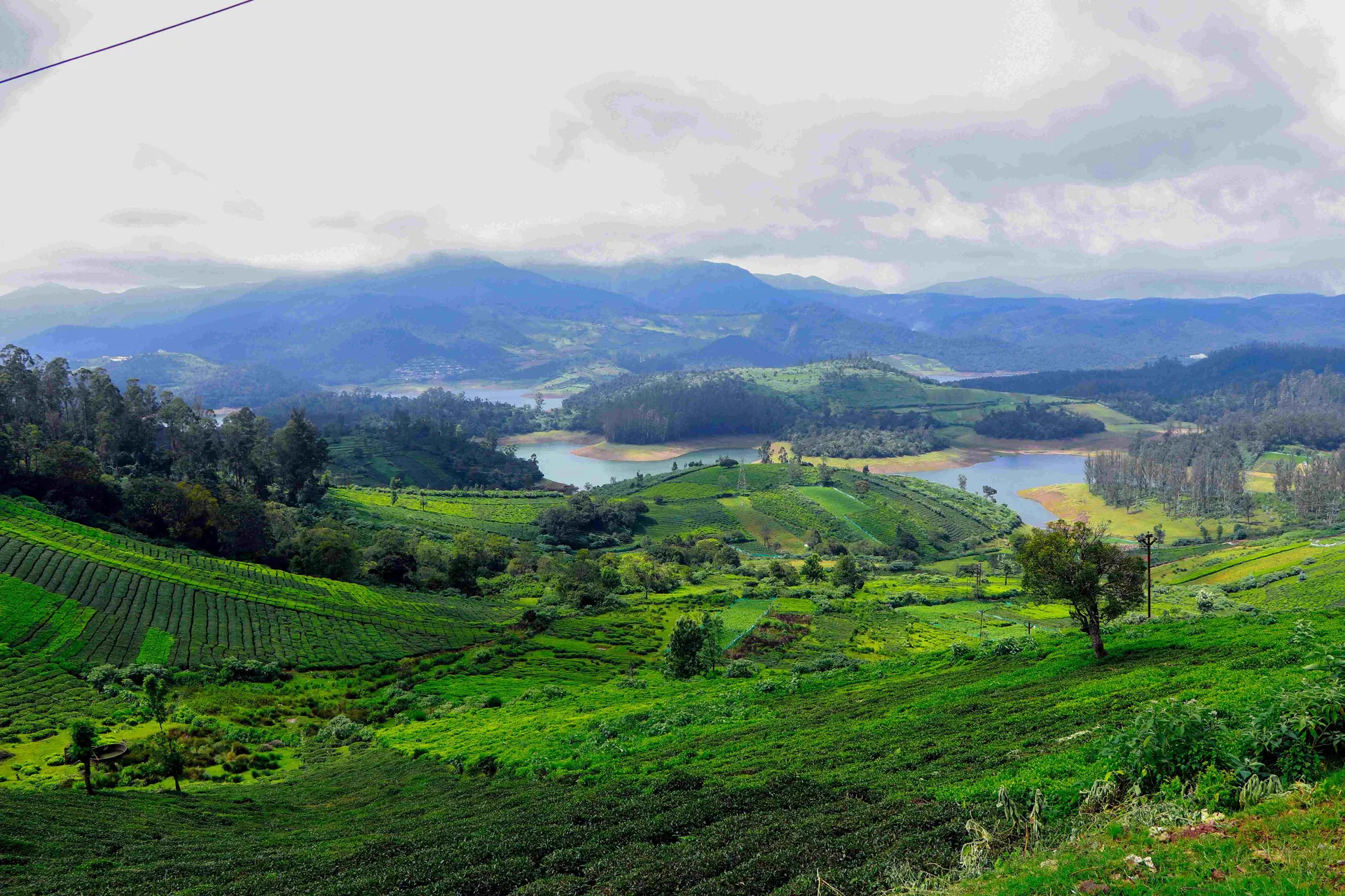 Munnar.jpg