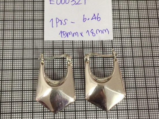 Earrings 321