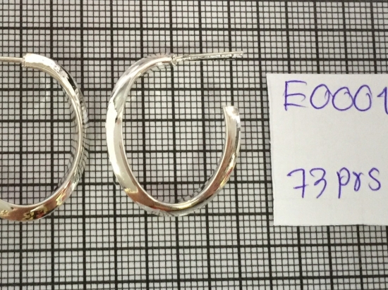 Earrings 182