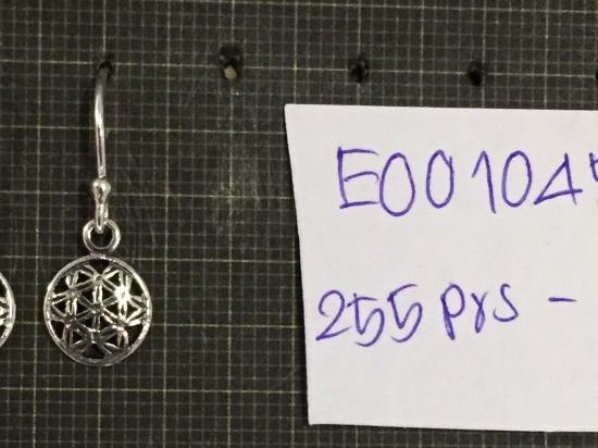 Earrings 1045