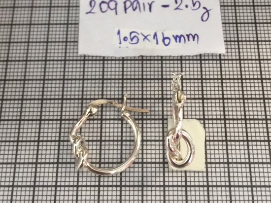 Earrings 504