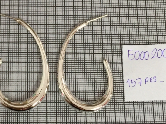 Earrings 200
