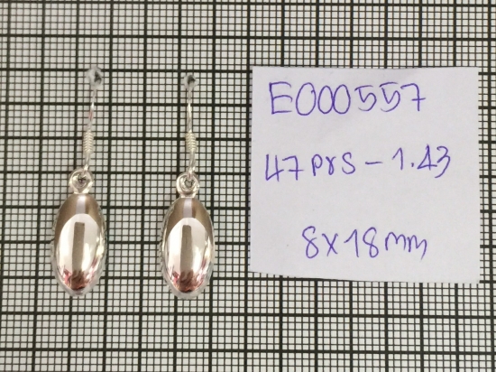 Earrings 557
