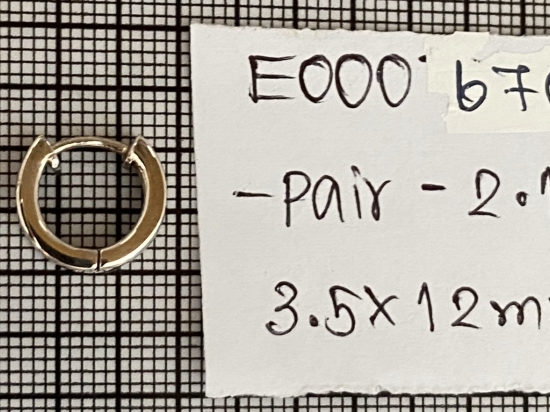 Earrings 670