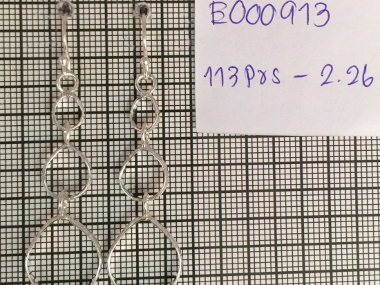 Earrings 913
