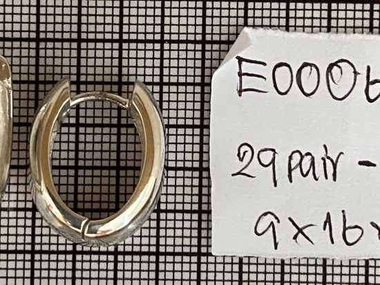 Earrings 692