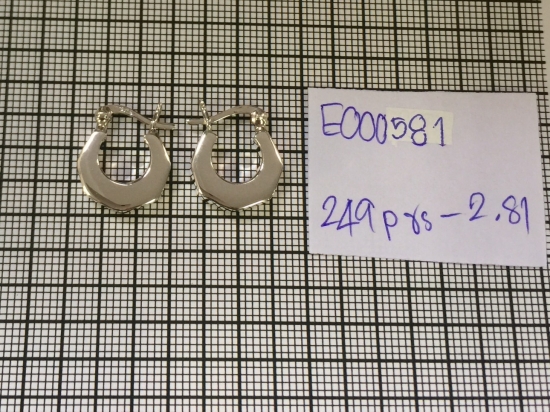 Earrings 581