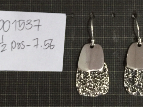 Earrings 1537