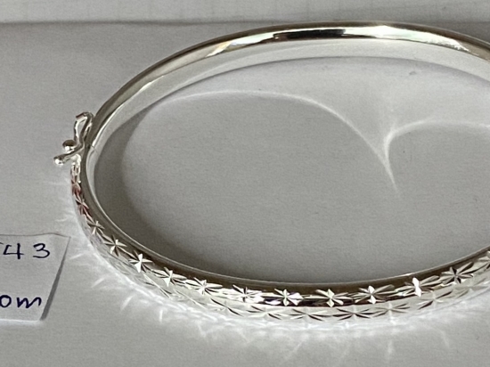 Bangle 543