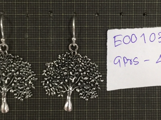 Earrings 1034