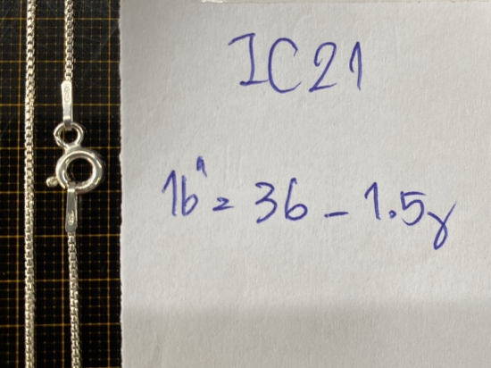 IC21