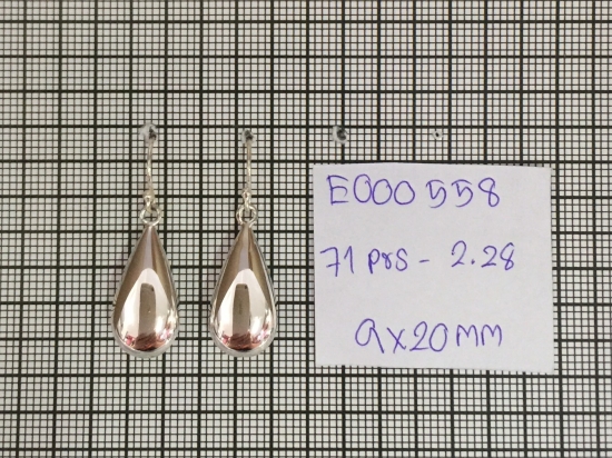 Earrings 558