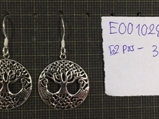 Earrings 1028