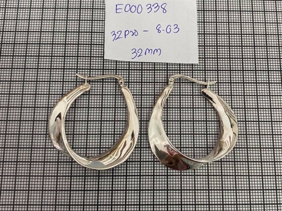 Earrings 338