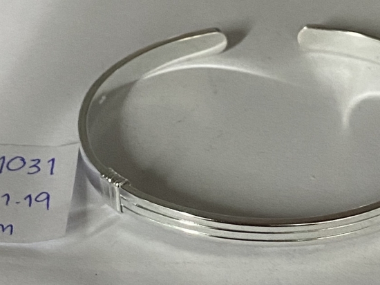 Bangle 1031