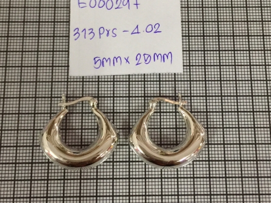 Earrings 297