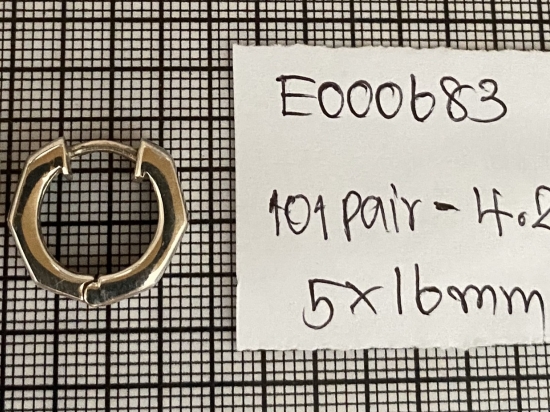 Earrings 683