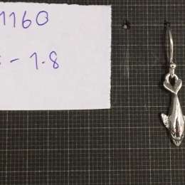 Earrings 1160