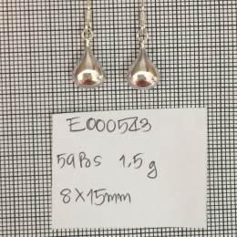 Earrings 543