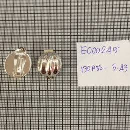 Earrings 245