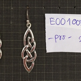 Earrings 1001