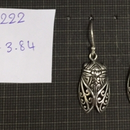 Earrings 1222