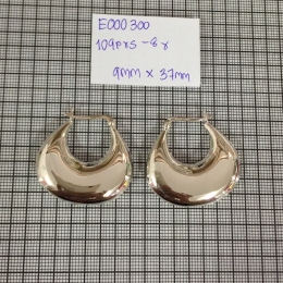 Earrings 300