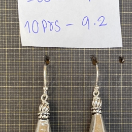 Earrings 1431