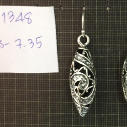 Earrings 1348