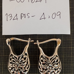 Earrings 1641