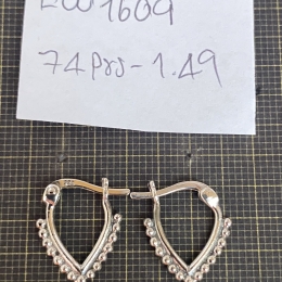 Earrings 1609