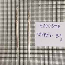 Earrings 572