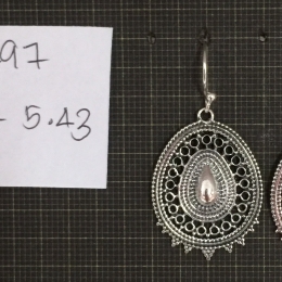 Earrings 1497