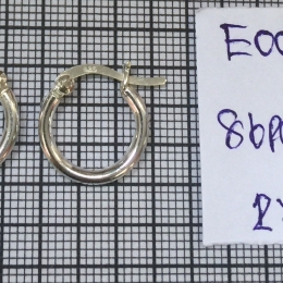 Earrings 500