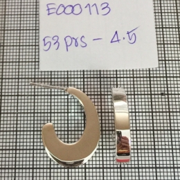Earrings 113