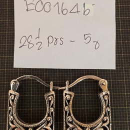 Earrings 1646