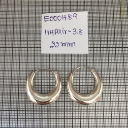 Earrings 489
