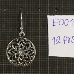Earrings 1051