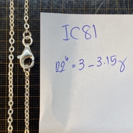 Necklace IC81
