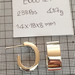 Earrings 121