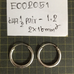 Earrings 2051