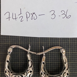 Earrings 1613