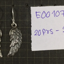 Earrings 1072