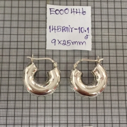 Earrings 446