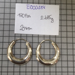 Earrings 488